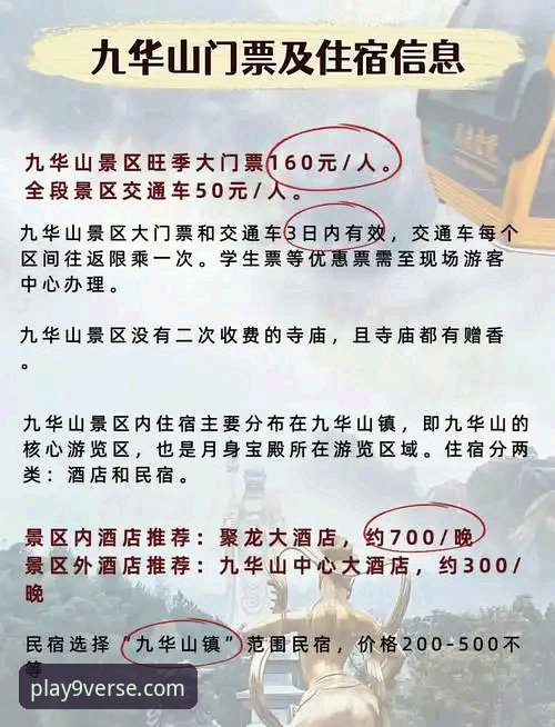 资深用户实测分享：九游官网最新地址对比与避坑指南